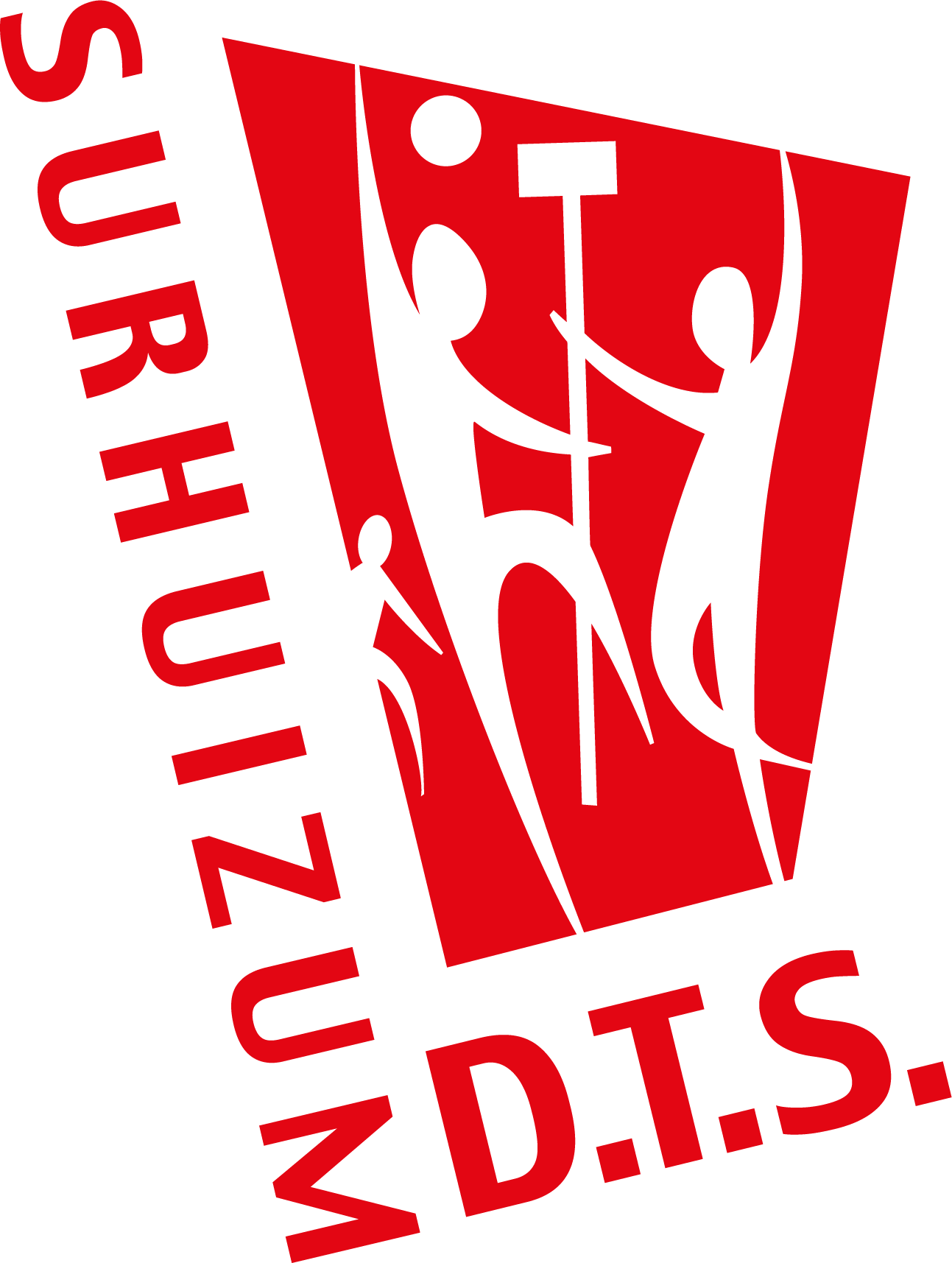 KV DTS Logo